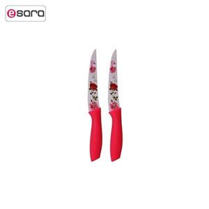 چاقوی رجینال مدل P002-2 بسته دو عددی Reginal P002-2 Knife Pack of 2