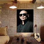 تابلو شاسی مدل pitbull کد 20