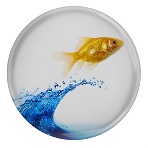 پیکسل طرح آب و ماهی مدل S5707