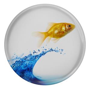 پیکسل طرح آب و ماهی مدل S5707
