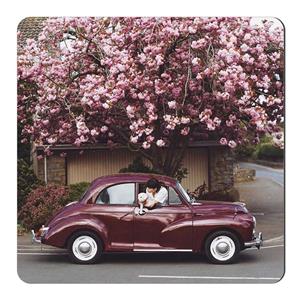 مگنت طرح بهار اروپایی کد wmg1729