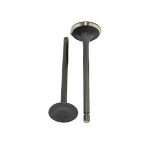 سوپاپ موتور سیکلت مدل RP125 بسته 2 عددی