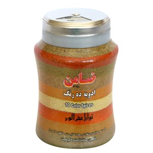 ادویه ده رنگ ضامن - 100 گرم