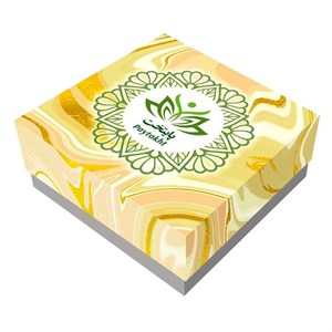 پیرسینگ گوش پایتخت مدل PS908 فشاری