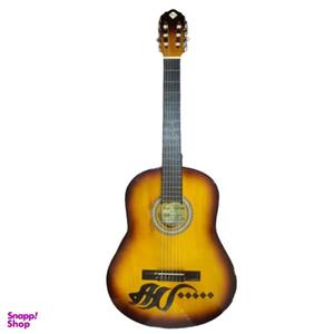 گیتار فرد مدل هیچ کد ۹۹