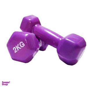 وزنه دمبلی رکورد کد 1520 وزن 2 کیلوگرم بسته 2 عددی