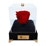 جعبه گل ماندگار گیتی باکس مدل رز جاودان قرمز لاکچری آبنوس - سایز گل معمولی