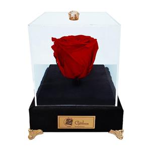 جعبه گل ماندگار گیتی باکس مدل رز جاودان قرمز لاکچری آبنوس سایز معمولی Gitibox Large Luxury Abnous Red Preserved Rose Flower Box 