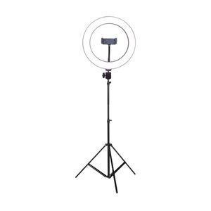 رینگ لایت مدل RFX-260