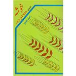 کتاب خوشه نخستین هفته شعر و هنر اثر احمد شاملو انتشارات کاوش