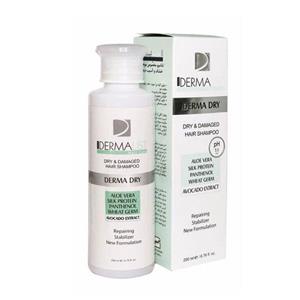 شامپو مو درمالسیت مدل Derma Dry حجم 200 میلی لیتر