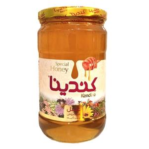 عسل کندینا -900 گرم