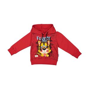 هودی پسرانه کیکی رایکی مدل KBB2552 004 Kiki Riki Hoodie For Boys 