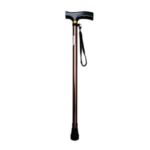 عصا دستی بریو مدل 010