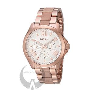 Fossil Group AM4622 Women Watches Clocks 