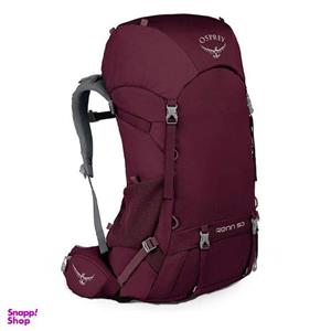 کوله پشتی سفری آسپری مدل Packs Renn 50 W