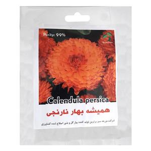 بذر گل همیشه بهار نارنجی گرین فارم کد 003 