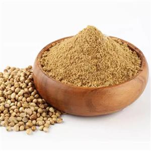 پودر تخم گشنیز ضامن - 100 گرم