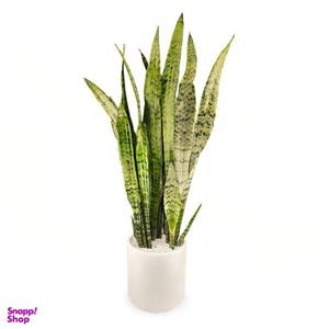 گلدان سانسوریا سبز گلیتال مدل GTL149