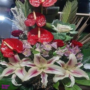 سبد گل طبیعی مدل آپامه
