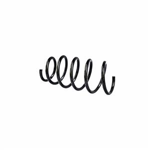 فنرلول پژو 206 عظام