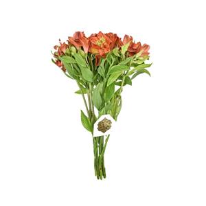 دسته گل الستر مریا نارنجی هیمان کد 1068
