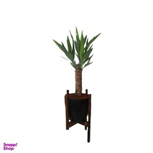 گیاه طبیعی یوکا مدل پایه دار کد 2398