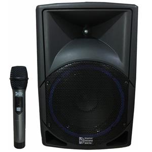 آمپلی فایر تکنو سوند مدل 12inch-PTR4W-P 