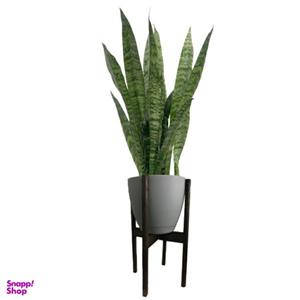 گیاه طبیعی سانسوریا مدل 9892