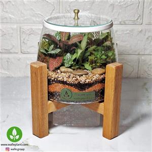 تراریوم گیاه طبیعی مدل آهو