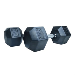 دمبل اس اچ ار کد B9 وزن 25 کیلوگرم بسته 2 عددی