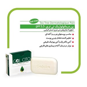 پن شستشو گل سیتو مدل TEA TREE وزن 100 گرم