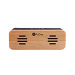 Portable Wireless Speaker Proone PSB4101