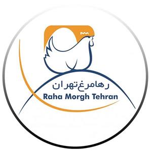 تخم مرغ سبک رها پک 30 عددی