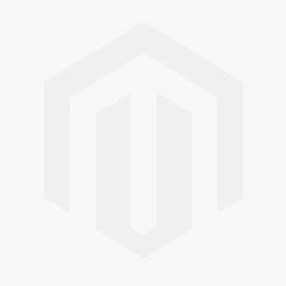گیره رومیزی مینیاتوری گردان 4 سانتیمتر گروز مدل TBV/SB-40