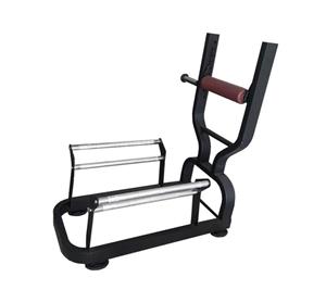 شنا سوئدی آریا جیم A249