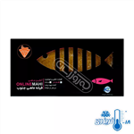 فیله ماهی سارم طعم دار ویژه منجمد برند آنلاین ماهی 350 گرمی