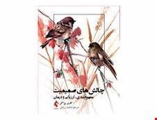 کتاب چالش های صمیمیت مفهوم بندی ارزیابی و درمان کارن پراگز انتشارات ارجمند