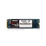 kingmax PQ3480 1TB PCIe M.2 2280 