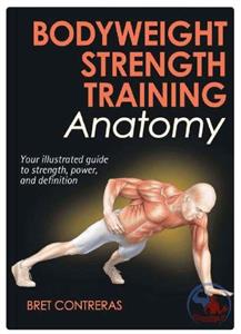 آناتومی بدنسازی وزن بدن : راهنمای کامل برای بدنسازان