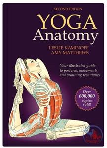 دانلود کتاب آناتومی حرکات یوگا با آموزش تصویری نگارش جدید انتشارات Human Kinetics
