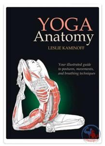 راهنمای جامع تصویری آناتومی تمرینات یوگا