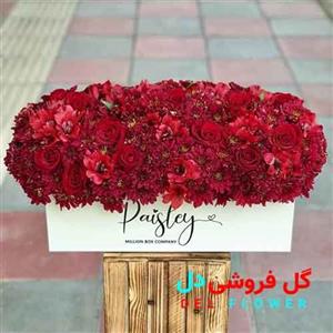 هدیه شب یلدا برای دختر 2029 