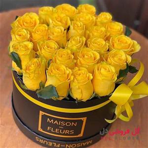 جعبه گل رز زرد 212