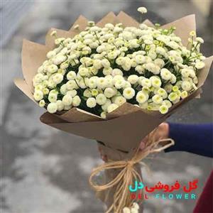جدیدترین جام گل برای بله برون 138