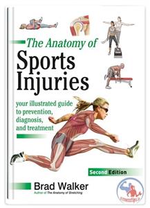 آناتومی آسیب‌های ورزشی : راهنمای تصویری