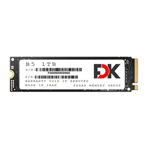 اس دی اف کی فدک ظرفیت SSD FDK B5 256GB Series Internal Drive 