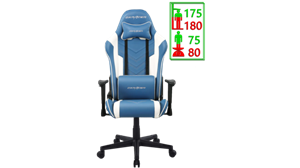 صندلی گیمینگ دی ایکس ریسر سری پرینس مدل Dxracer Prince Seires OH/D6000/BW