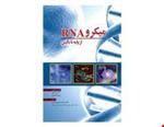 کتاب میکرو RNA از پایه تا بالین انتشارات: ابن سینا