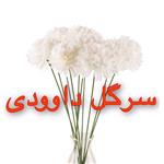 سرگل داوودی کد 1604